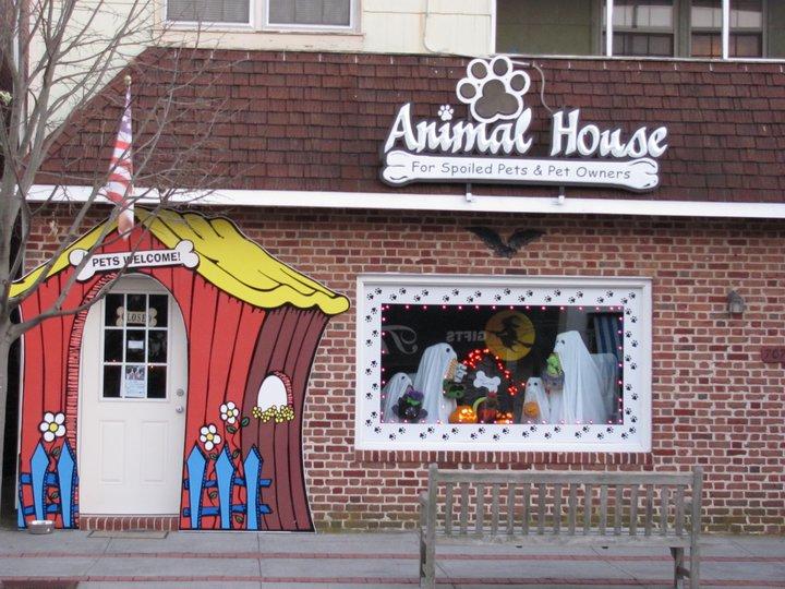 The animal outlet house pet store