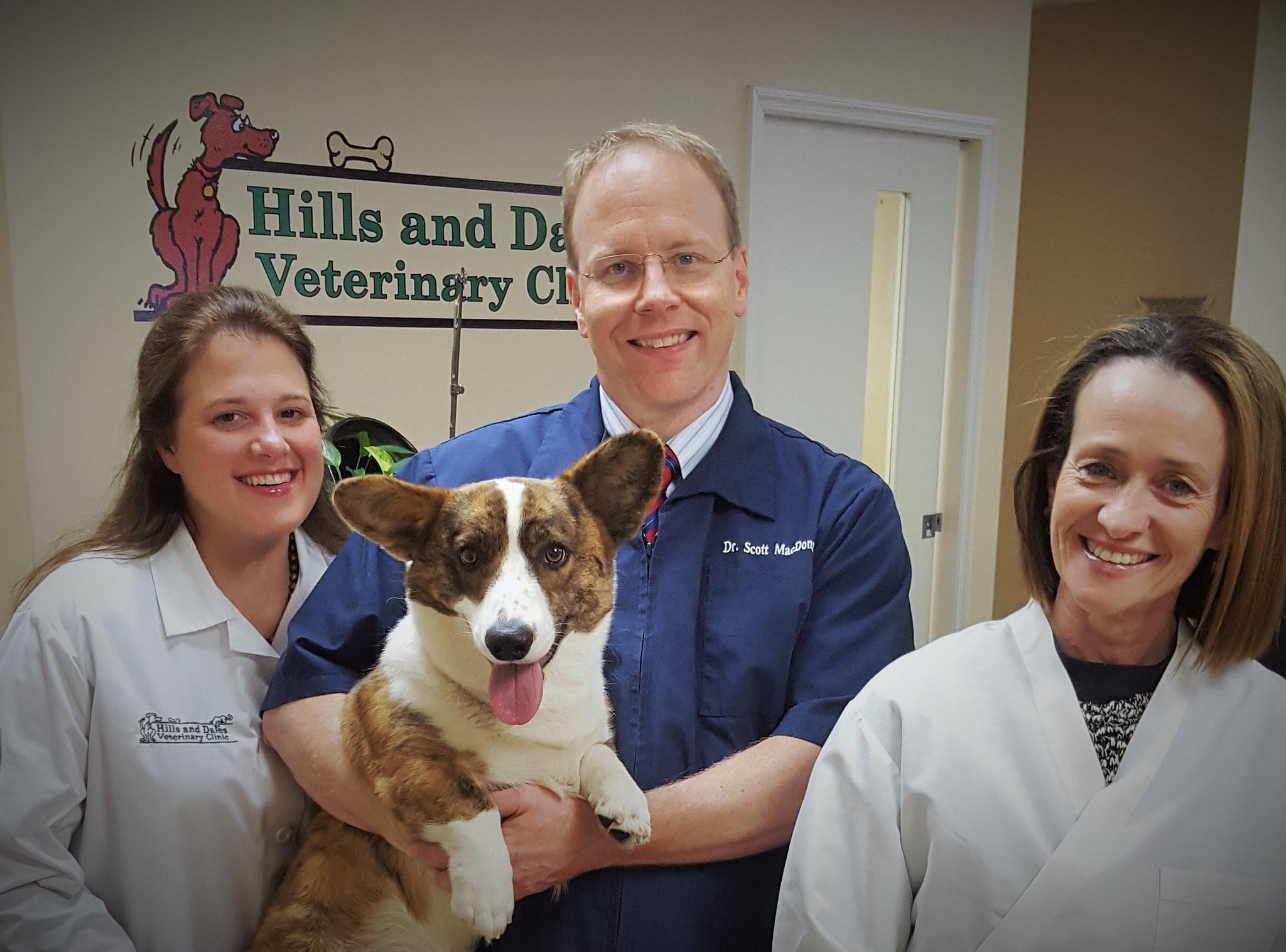 Pet Friendly Hills and Dales Veterinary Clinic