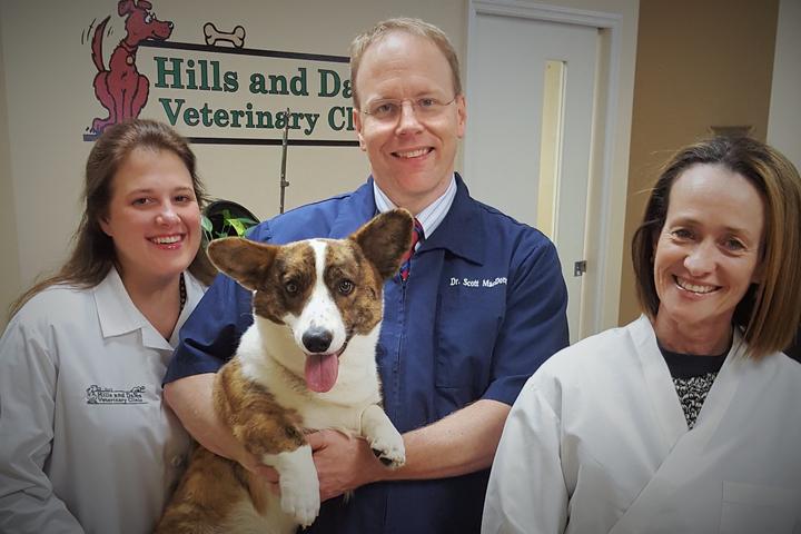 Pet Friendly Hills and Dales Veterinary Clinic