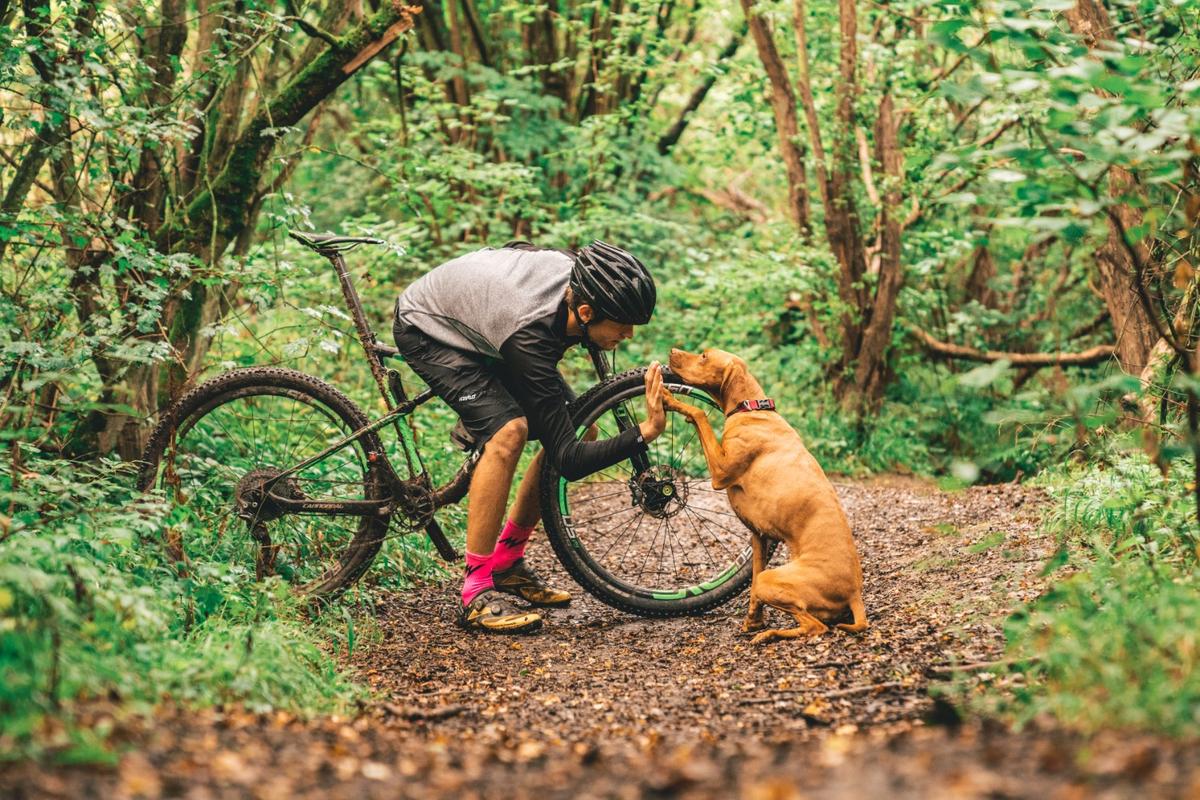 Trail dog mountain outlet biking