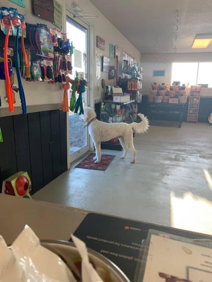 Directory of Pet Stores in Centralia WA BringFido