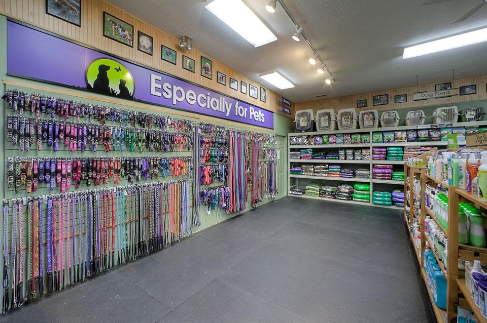 Directory of Pet Stores in Marlborough MA BringFido