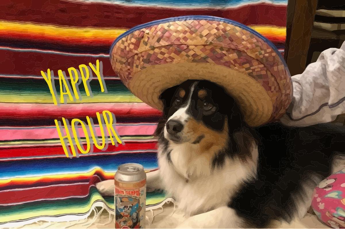 Dog Friendly Happy Hour Jupiter