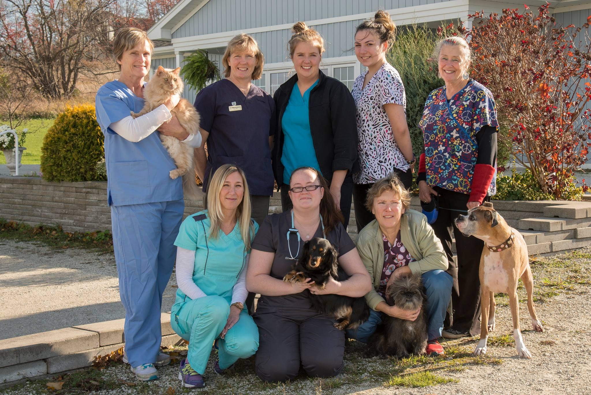 Pet Friendly Blue Mountain Veterinary Services