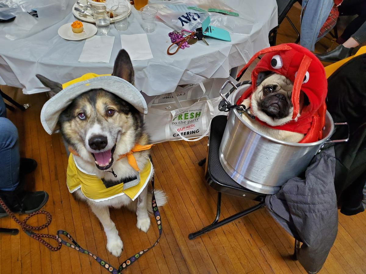 Dog sale fisherman costume