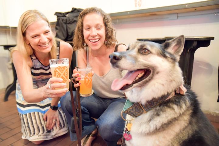 Pet Friendly Dog Friendly NYC Brewery Tour