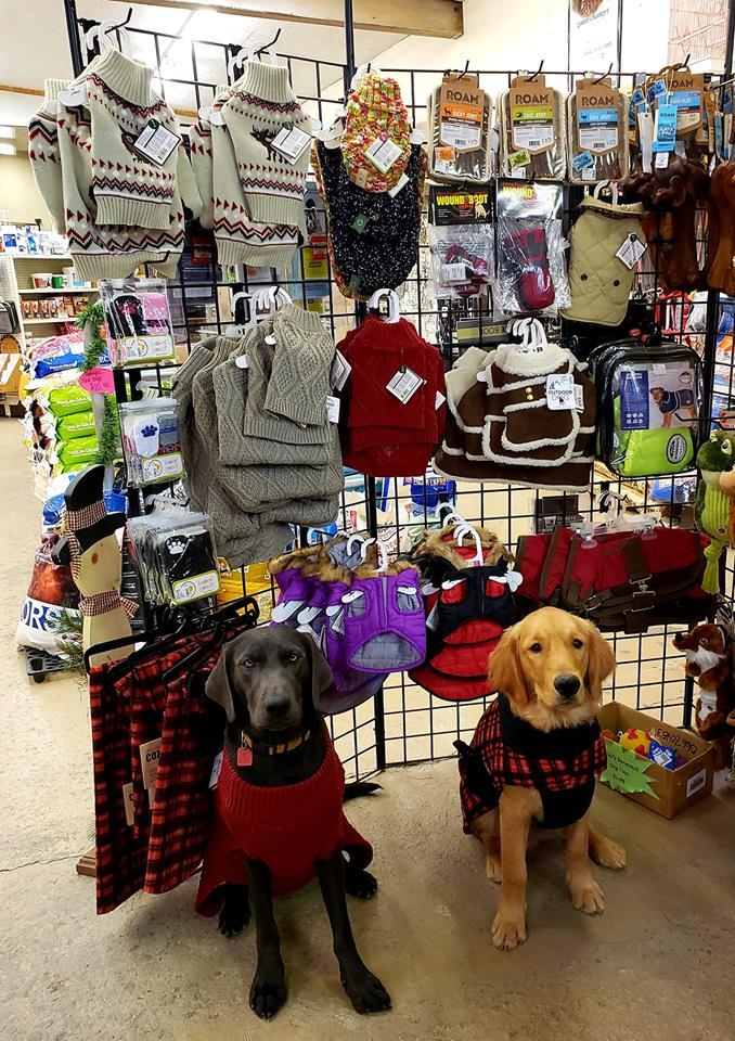 Pet Friendly Montrose Feed & Supply