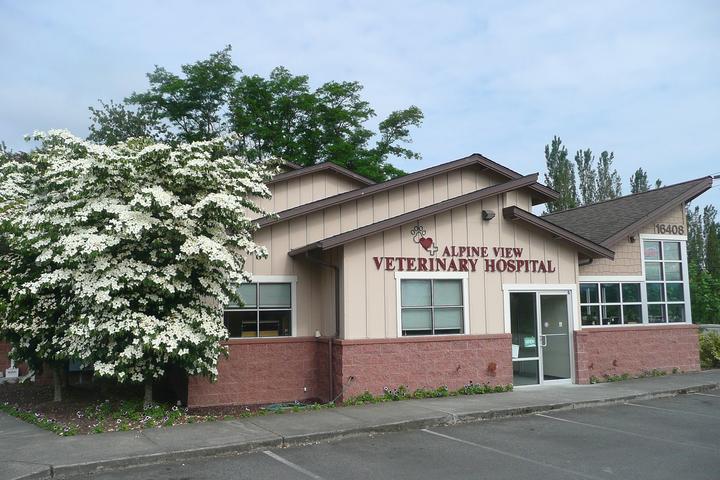 Pet Friendly Alpine Veterinary Clinic