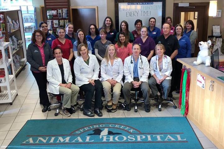 Pet Friendly VCA Spring Creek Animal Hospital