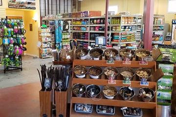 Healthy Pets Northwest Multnomah Village