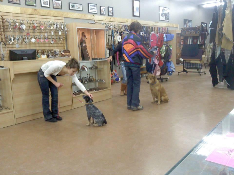 Taos Tack & Pet Supply