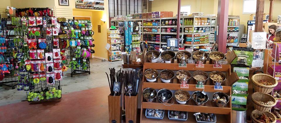 healthy pets store