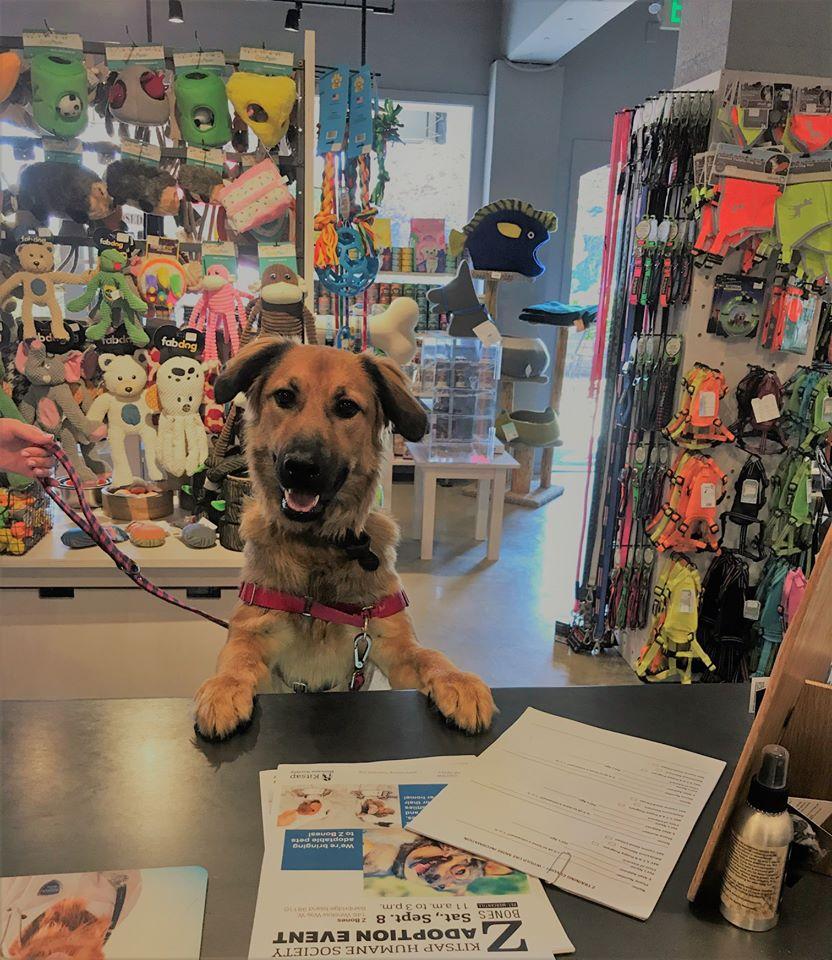 Directory of Pet Stores in Bainbridge Island WA BringFido