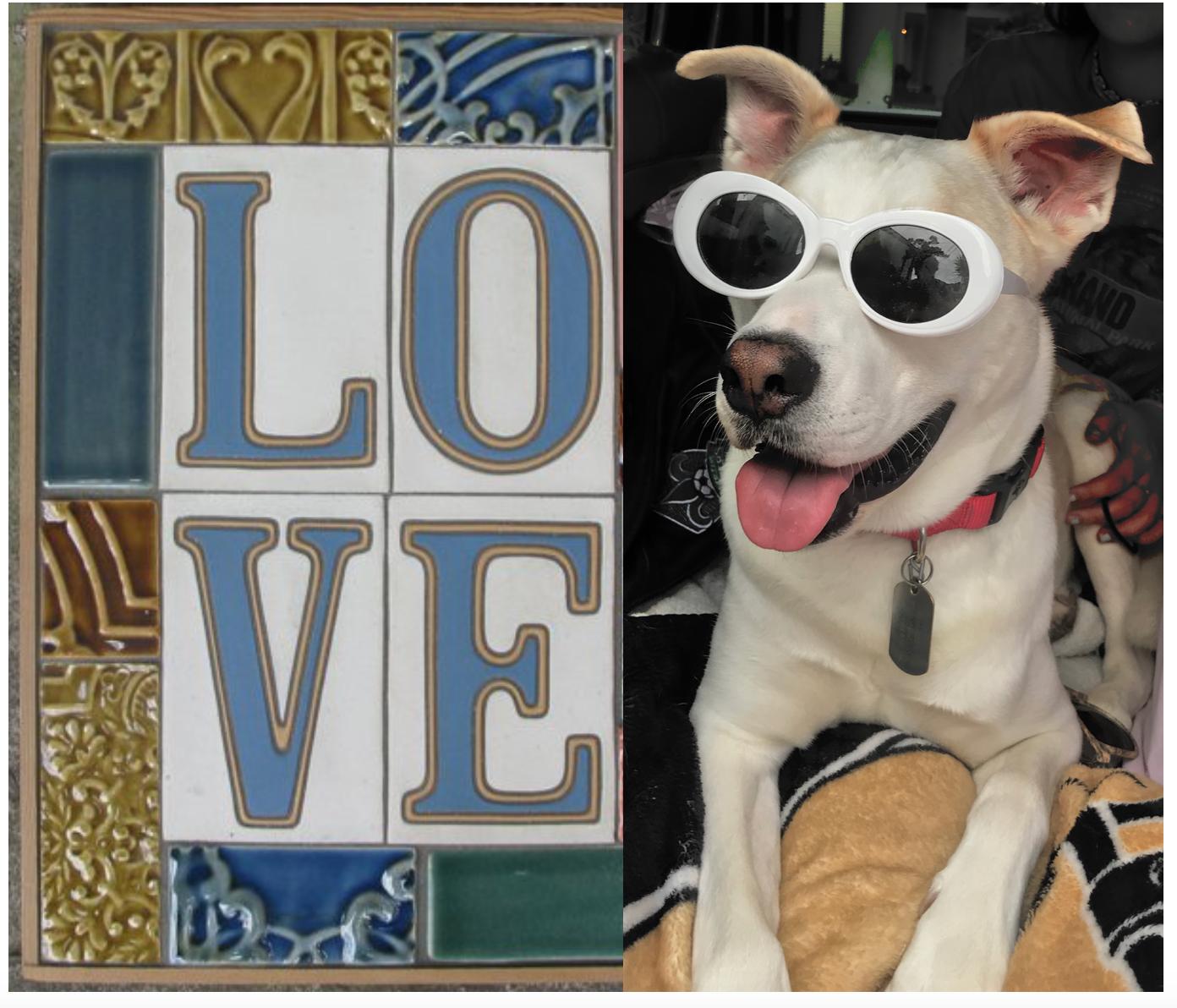 Pet Friendly Derby Pottery and Tile