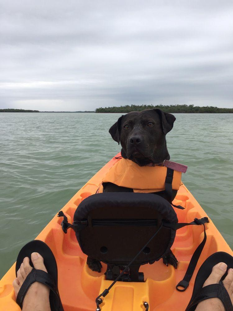 Pet Friendly Kayak Marco