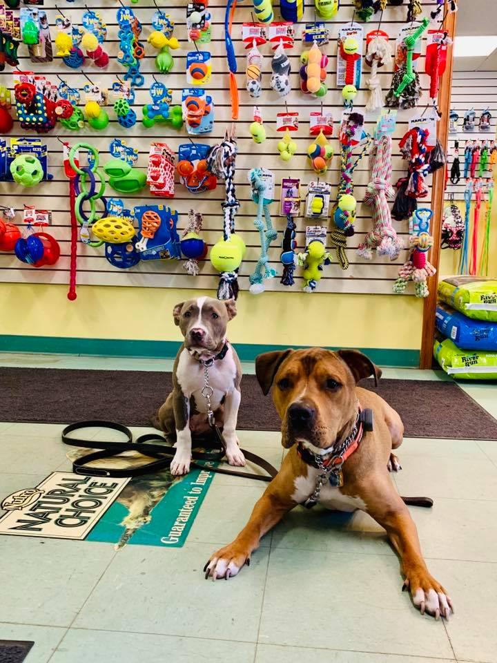 Directory of Pet Stores in Mountain Top PA BringFido