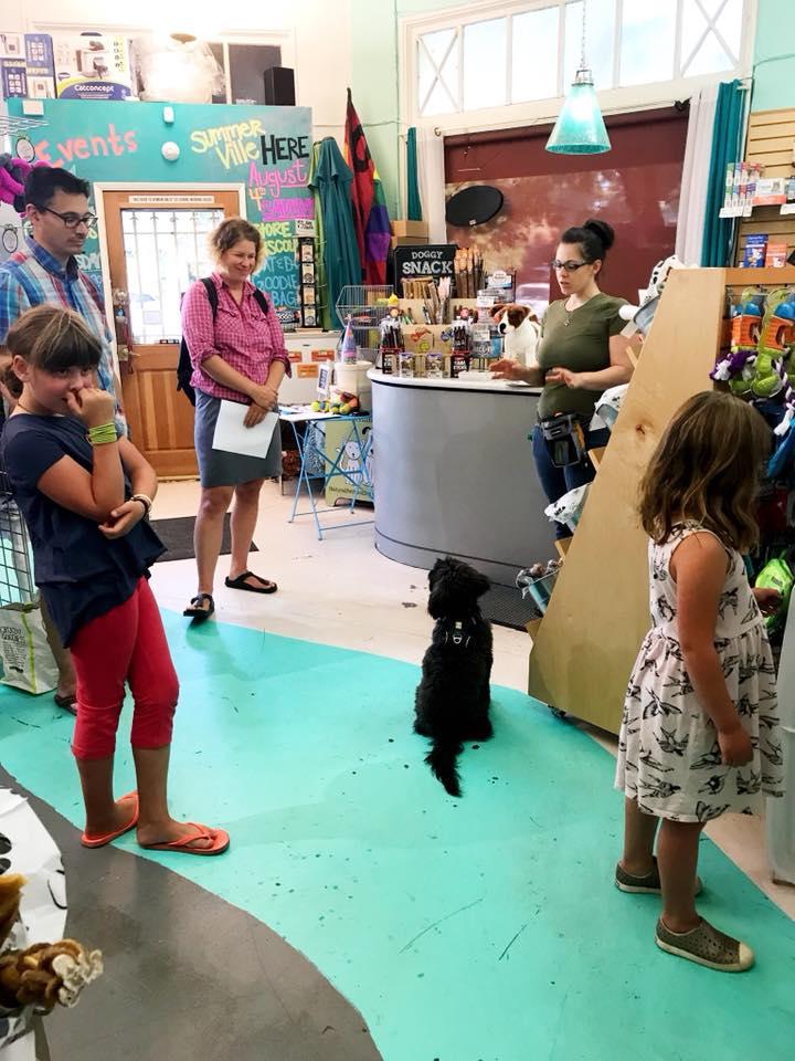 Natural Pet Food Solutions