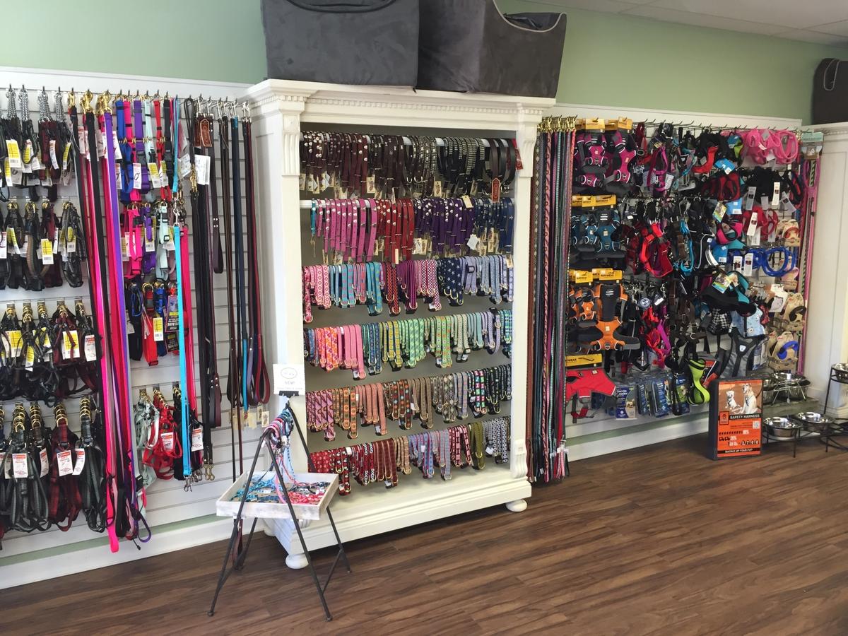 Directory of Pet Stores in Clinton NJ BringFido