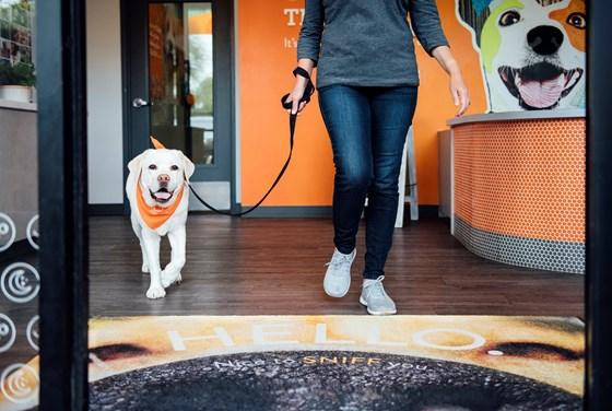 Dogtopia clearance boarding prices