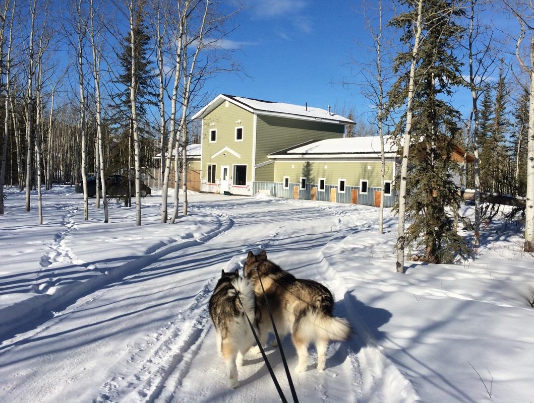 Pet Friendly Tails and Trails Dog Hotel