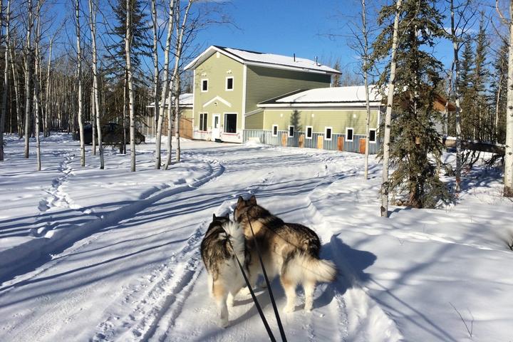Pet Friendly Tails and Trails Dog Hotel