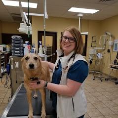 Pet Friendly BrownDog Lodge Veterinary Clinic