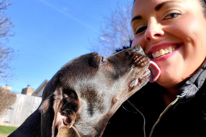 Directory of Pet Businesses in Belleville, IL - BringFido Directory of Pet Businesses in Belleville, IL - BringFido