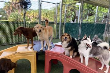 Bayside Pet Resort Bayside Pet Resort