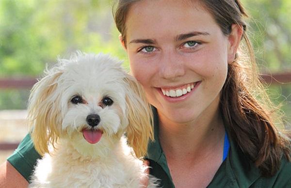 Directory Of Doggie Daycare Boarding In Liberty Hill Tx Bringfido