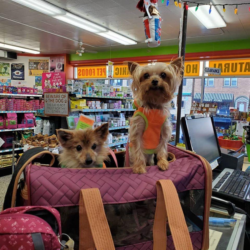 Directory of Pet Stores in Milwaukee WI BringFido