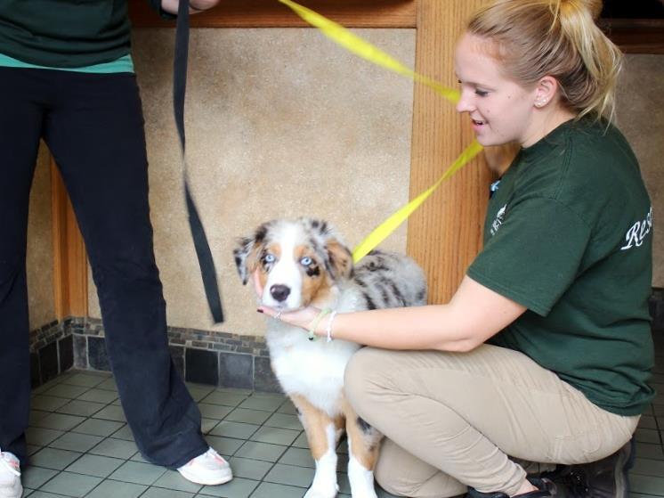 Doylestown Veterinary Hospital