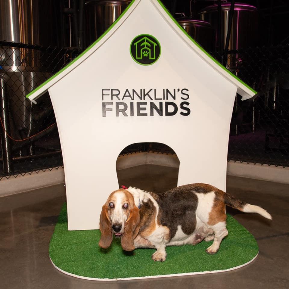 Pet Friendly Franklin's Friends