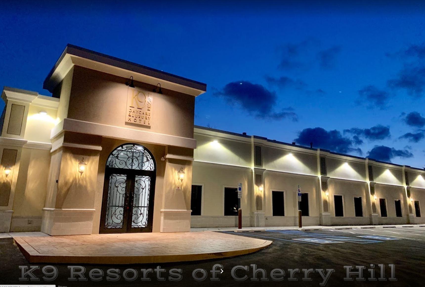 Pet Friendly K9 Resorts Luxury Pet Hotel Cherry Hill