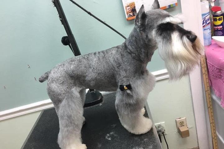 Pet Friendly Jackie's Grooming Spa and Hotel
