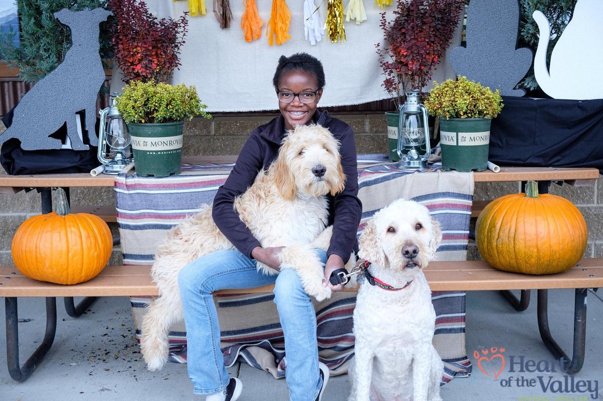 Heart of the Valley Animal Shelter