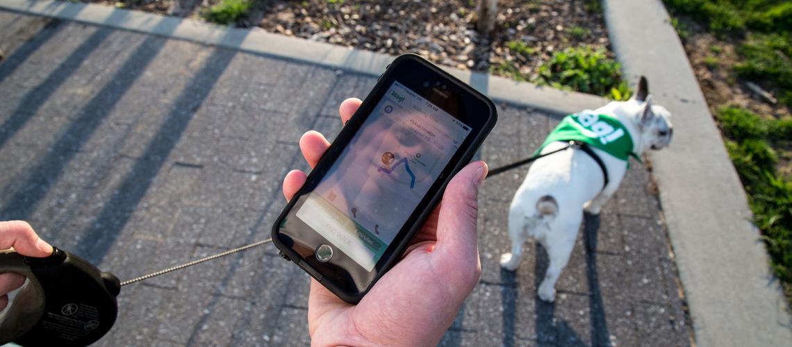 Pet Friendly Winter Park Scavenger Hunt: Winter Park Adventure