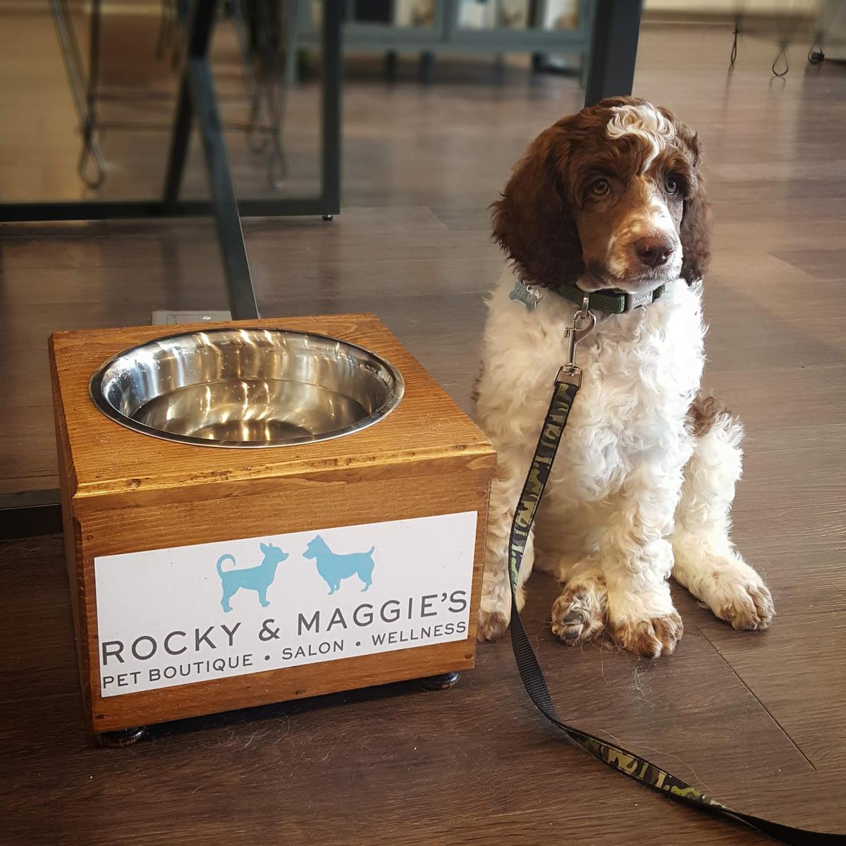 Rocky & maggie's pet boutique sale and salon