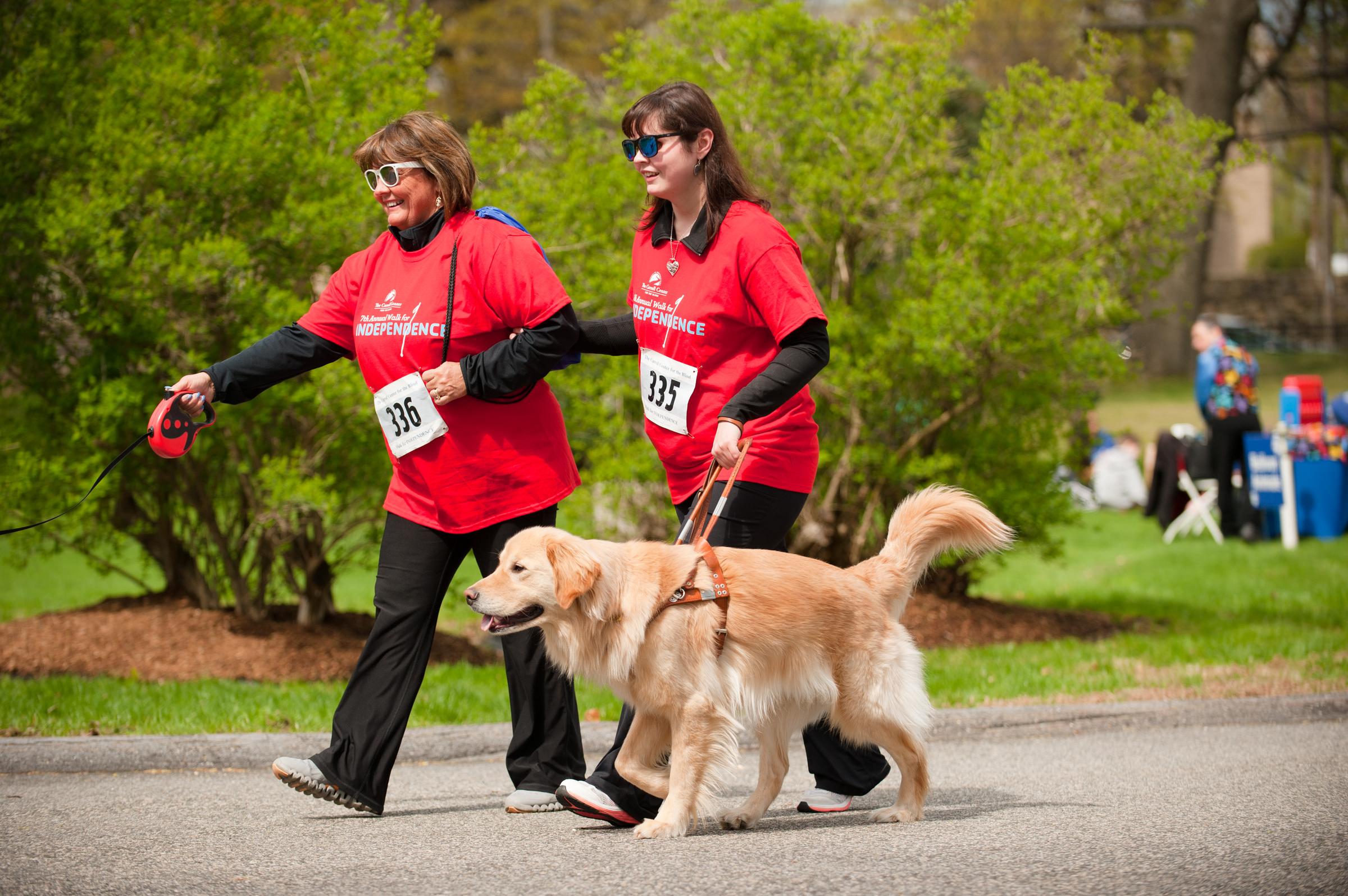 Dog Events in Massachusetts BringFido