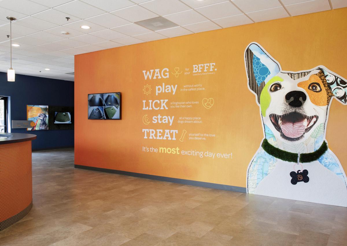 Dogtopia of Bloomfield