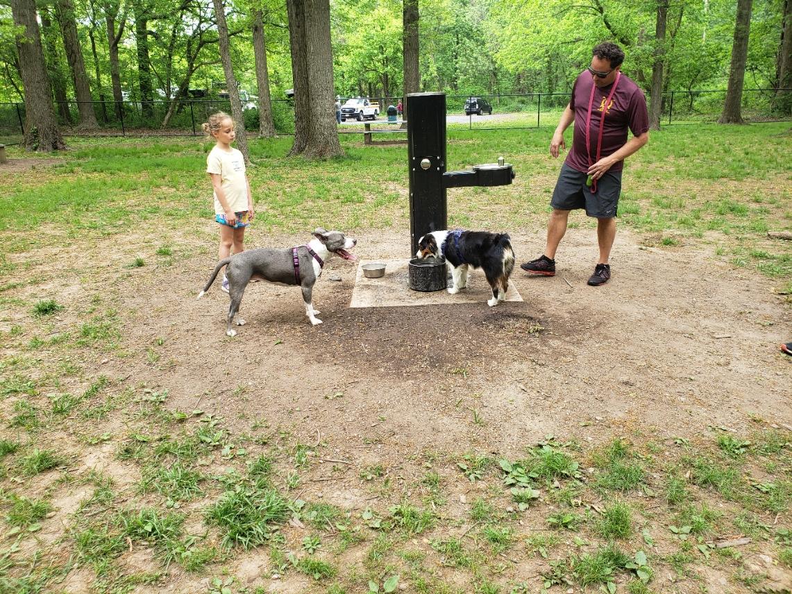 Madison Dog Park