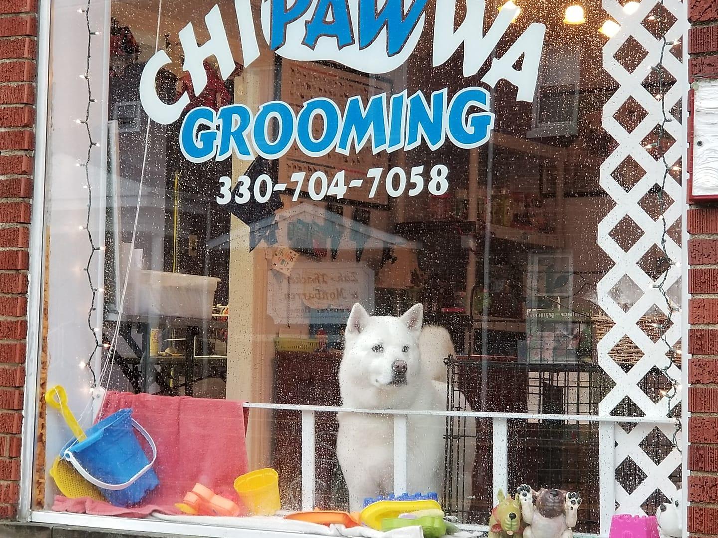 Pet Friendly Chipawwa Grooming