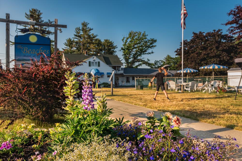 Pet Friendly Hotels In Ocean Park Me - Bringfido