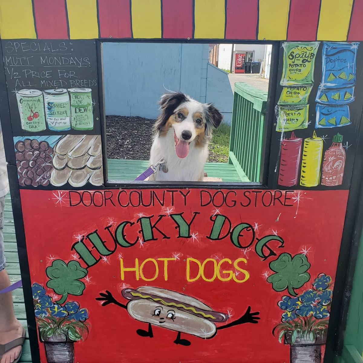 Door County Dog Store