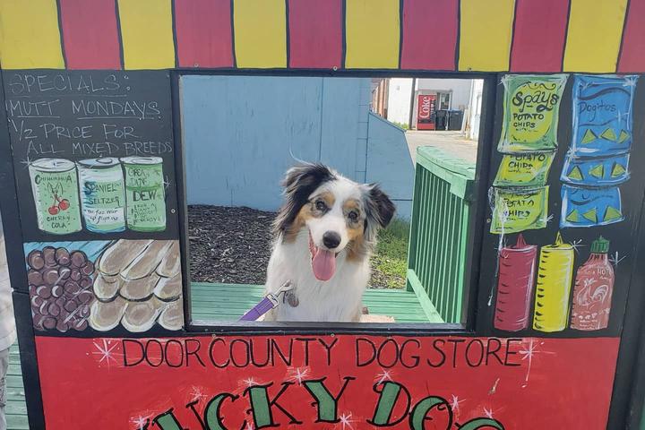 Pet Friendly Door County Dog Store