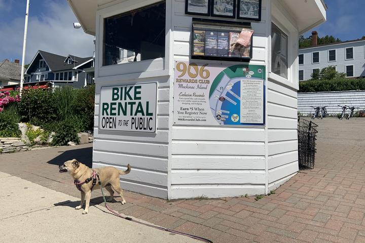 Pet Friendly Island House Hotel Bike Rentals