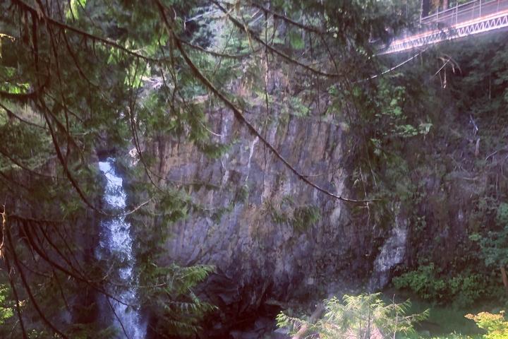Pet Friendly Drift Creek Falls Trail