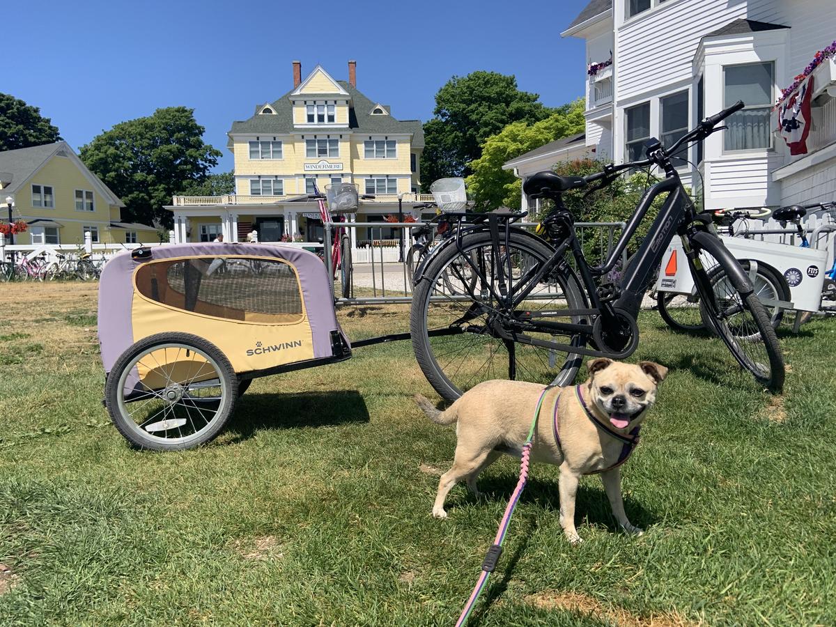 Schwinn mackinaw deals
