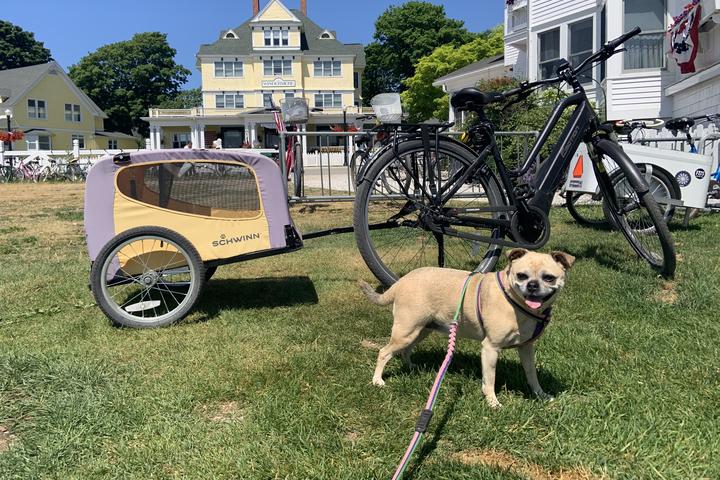 Pet Friendly Mackinac Bike Barn