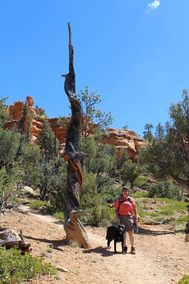 dog friendly hikes bryce canyon