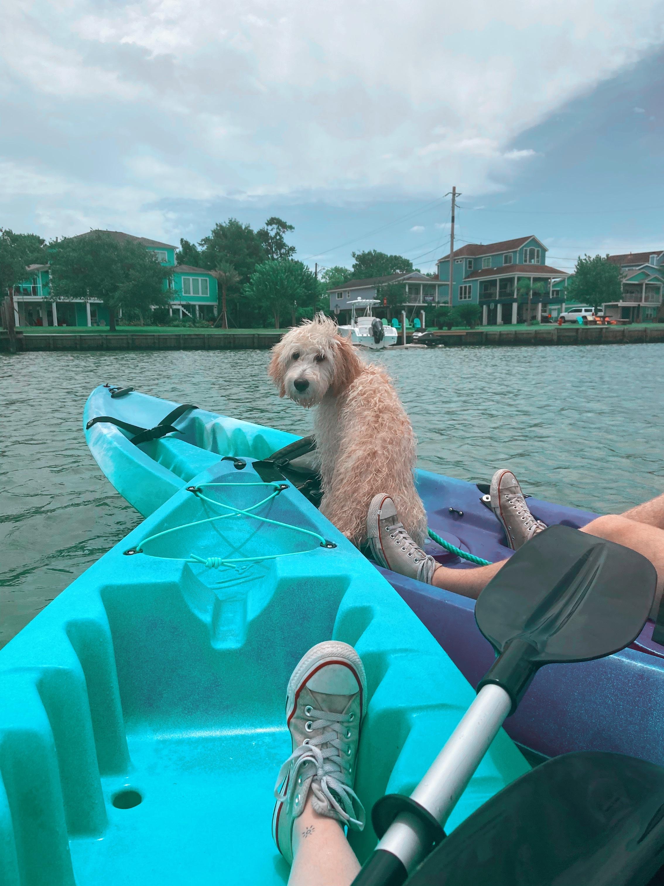 Pet Friendly Kayak Shack